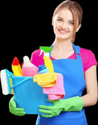 entreprise de ménage fiable Lyon