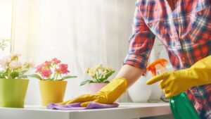 femme de ménage à Lyon femme de ménage à Lyon