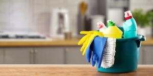 Devis en ligne pour ménage à domicile à Lyon