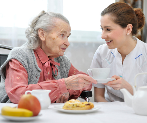 Service repas à domicile personnes dépendantes Lyon