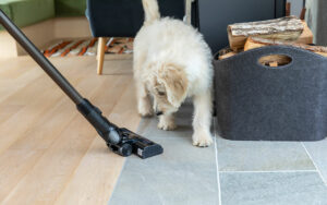 Entretien maison avec animaux à Lyon