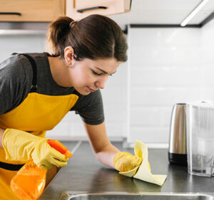 aide ménagère Lyon 7 aide ménagère Lyon 7