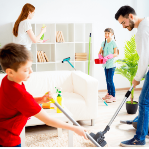 ménage de printemps Lyon ménage de printemps Lyon