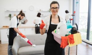 service de ménage professionnel Lyon