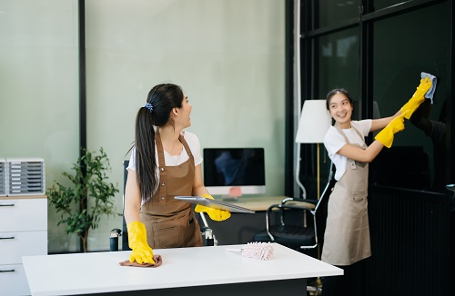 service de ménage professionnel Lyon