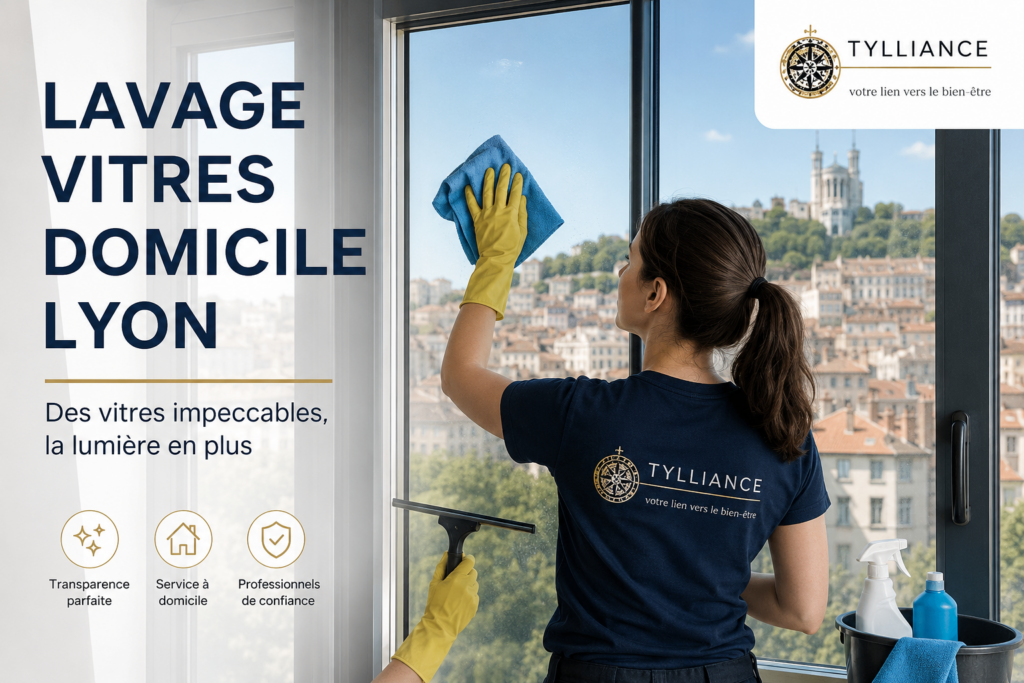 lavage vitres domicile Lyon